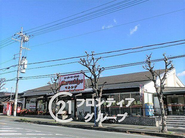マルシゲ泉原店(約880m)