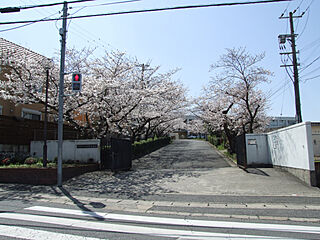 【積水ハウス】コモンステージ八阪町　分譲住宅 その他