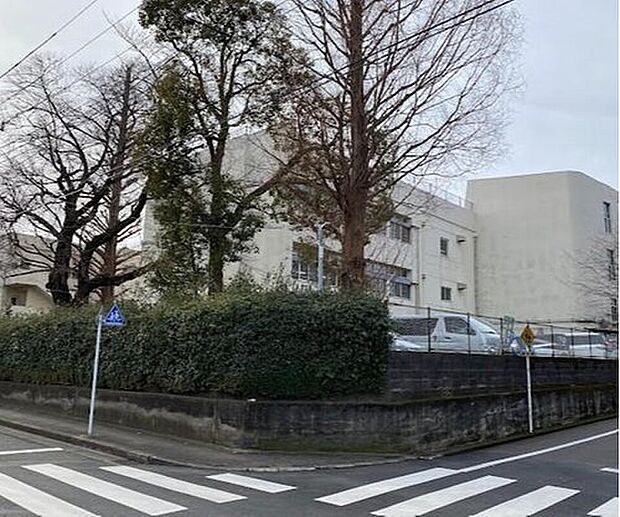日野市立日野第六小学校（約228m）