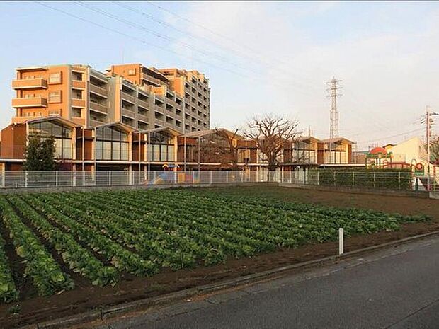 府中新町幼稚園(約480m)