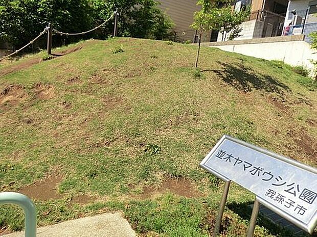 ヤマボウシ公園（約653m）