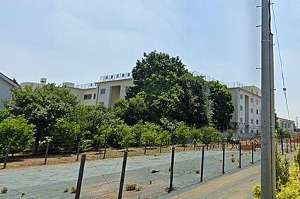 三鷹市立北野小学校 435m(徒歩6分)