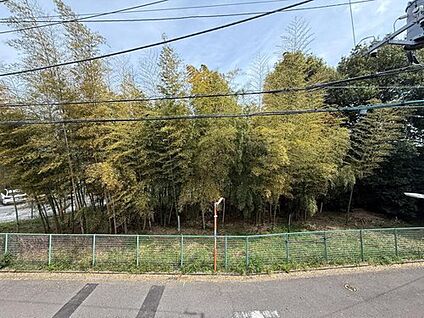住戸からの眺望写真