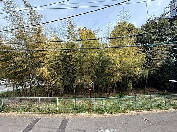 【住戸からの眺望写真】目の前に広がる竹林の鮮やかな緑。窓を開ければ心地よい風が吹き抜け、家に居ながら自然を感じる特等席。
