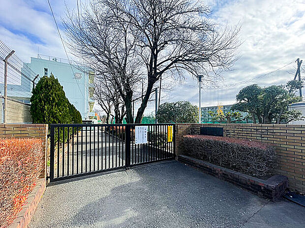 小金井市立南中学校(約500m)