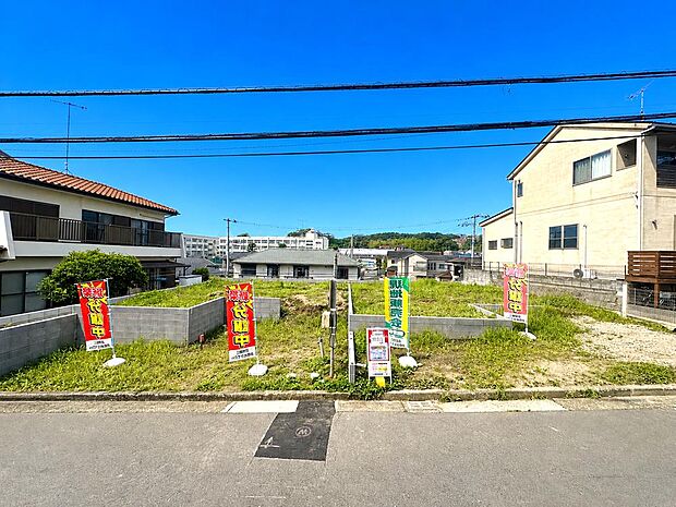 窓枠から切り取られたまるで写真のような澄み切った光景。季節の移り変わりとともに、ゆっくりと愛でる時のありがたみ。