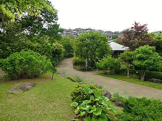 馬場花木園(馬場花木園まで2600m)