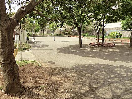 佐江戸大峰公園 500m(7分)
