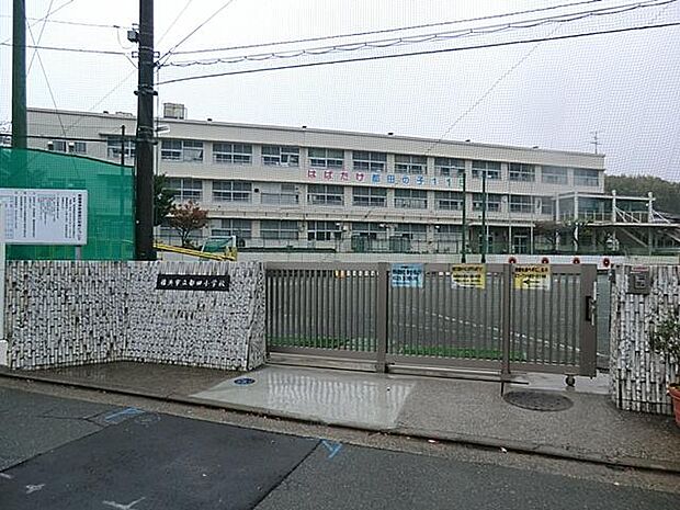 横浜市立都田小学校(約450m)