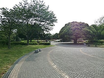 本牧山頂公園 270m