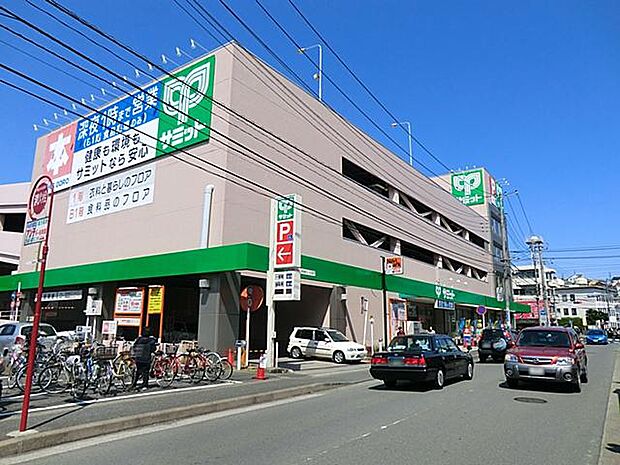 サミットストア菊名店(約1,000m・徒歩13分)