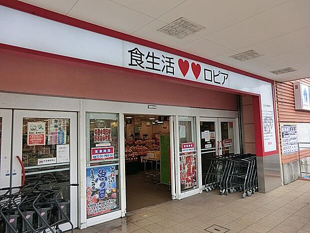 ロピアいずみ中央店(約450m)