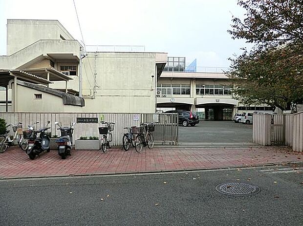 横浜市立本宿中学校(約800m)