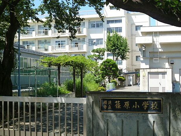 横浜市立篠原小学校(約845m・徒歩11分)