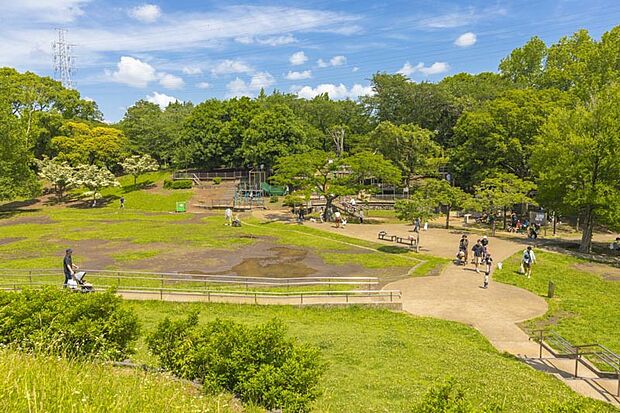 岸根公園西広場（約350m・徒歩5分）