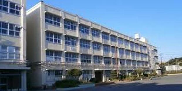 横浜市立山下小学校(約800m・徒歩10分)