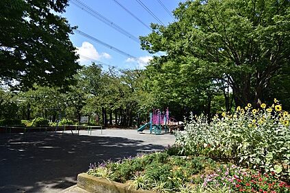日限山公園 1100m(14分)