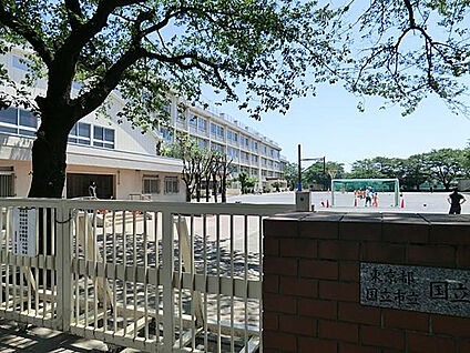 市立国立第七小学校 355m