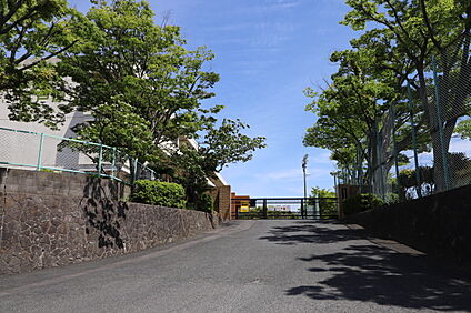 芦原小学校 約475ｍ(徒歩約6分)