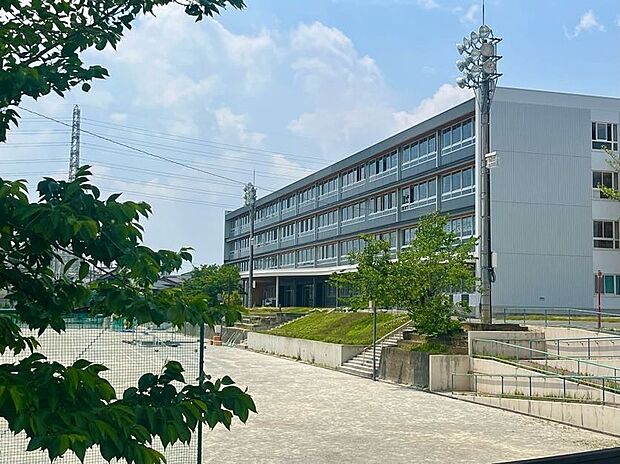 豊田市立朝日丘中学校（約1m）