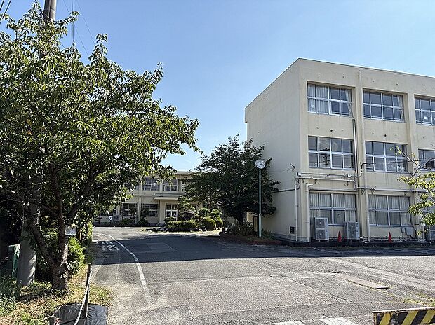 森岡小学校（約910m）