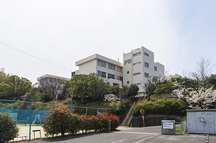 八幡中学校 990～1050m(徒歩13～14分)