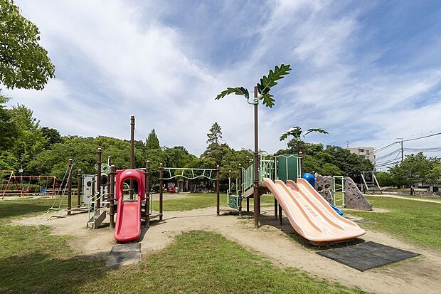 中央公園(約60m)