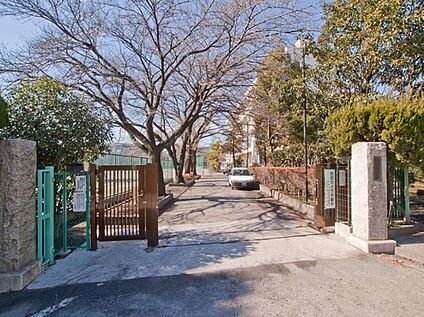 町田市立南中学校 914m(徒歩12分)