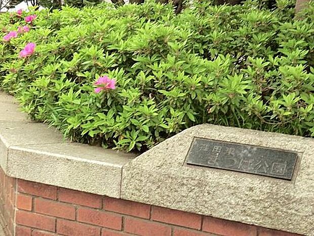 荏田東まつば公園(約550m)