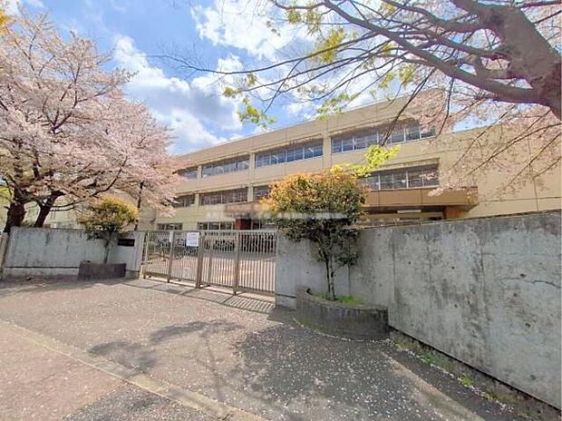 町田市立本町田ひなた小学校（約15m）