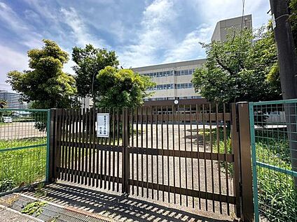 厚木市立厚木中学校 800ｍ(徒歩10分)