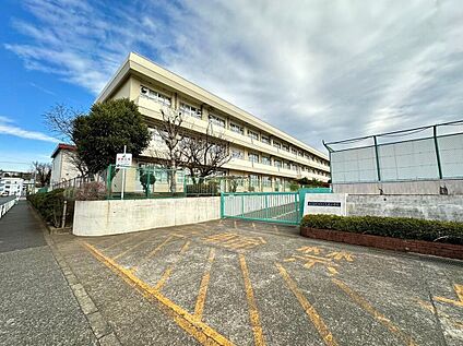大蔵小学校 1000m(徒歩13分)