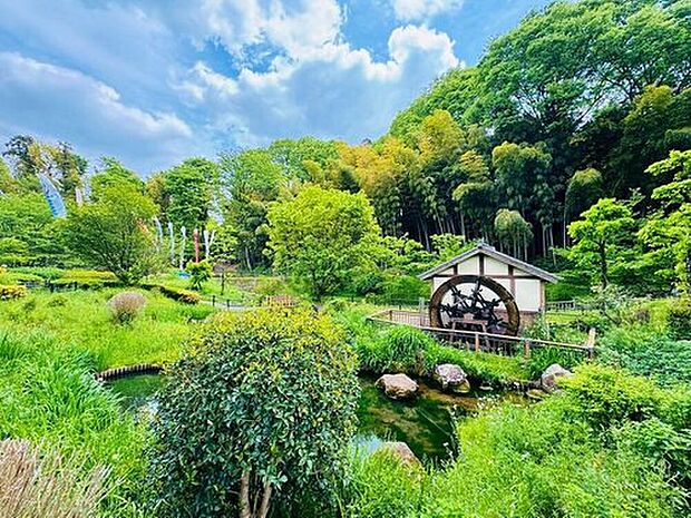 ◆上谷戸親水公園 約160m
歩いてすぐの「上谷戸親水公園」は、お子様の絶好の遊び場。クライム型遊具や水遊び場で、四季を感じながらのびのびと過ごせます。自然豊かな環境が、家族の健やかな毎日を育みます。