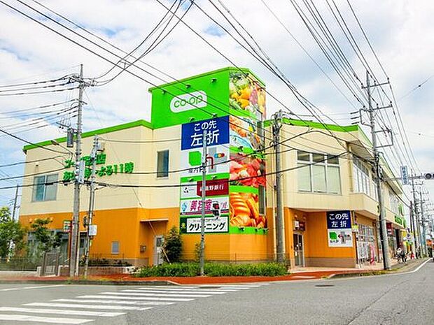 コープ指扇店(約440m)