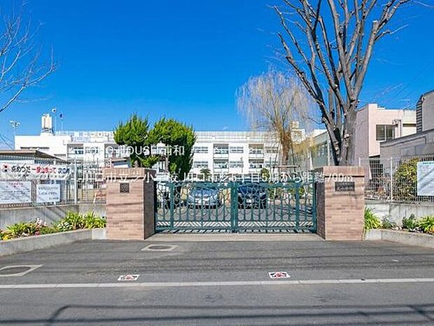 川口市立芝小学校(約700m)