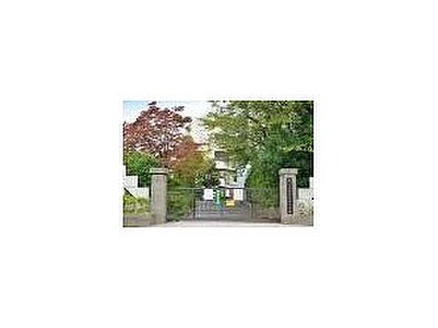 木崎中学校(約300m)