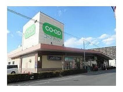 コープ武蔵浦和店 862ｍ(徒歩11分)