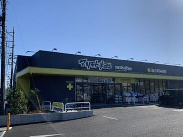 マツモトキヨシさいたま東新井店（約807m）