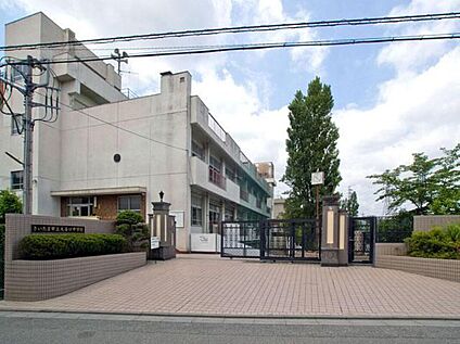 さいたま市立大谷口中学校 388ｍ(徒歩5分)