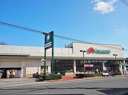 ピーコックストア国立弁天通り店 1165m(徒歩15分)