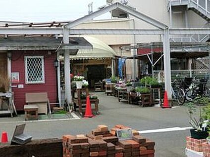 綿半ホームエイド国分寺店 670m(徒歩9分)