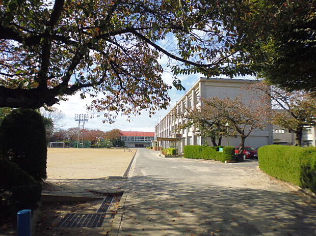 一宮市立今伊勢小学校(約290m)