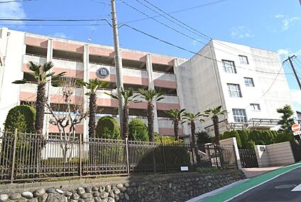 名古屋市立陽明小学校 260m(徒歩約4分)