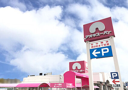 アオキスーパー加木屋店 1,000m(徒歩13分)