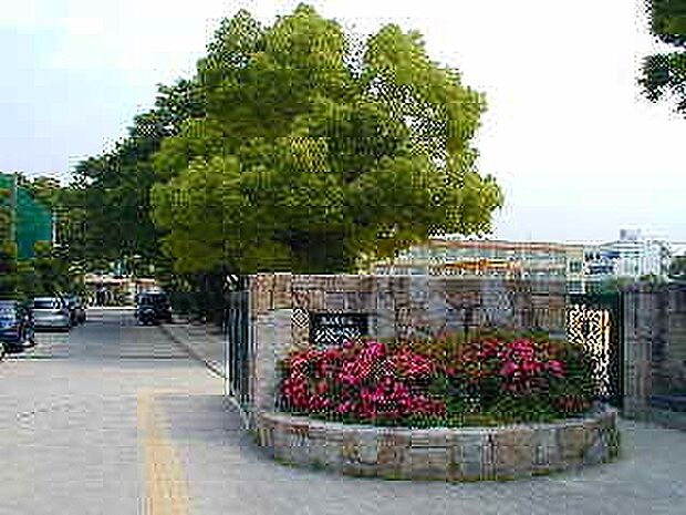 名古屋市立北陵中学校（約1m）