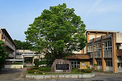 岡崎市立三島小学校 1100m(徒歩約14分)