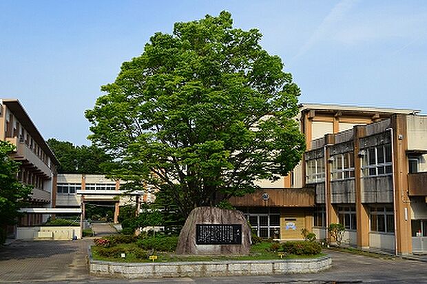 岡崎市立三島小学校(約1,100m)
