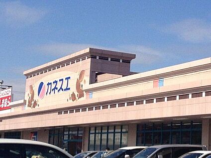 カネスエ新生店 360m