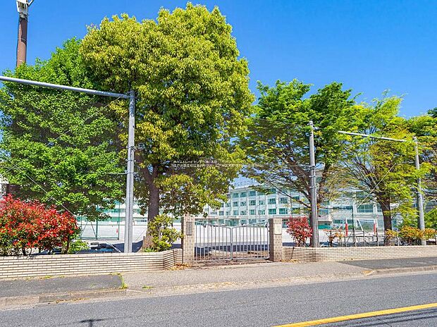 江戸川区立松江第四中学校（約1,100m）