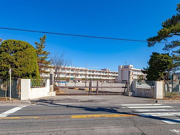 八潮市立八幡小学校(約650m)